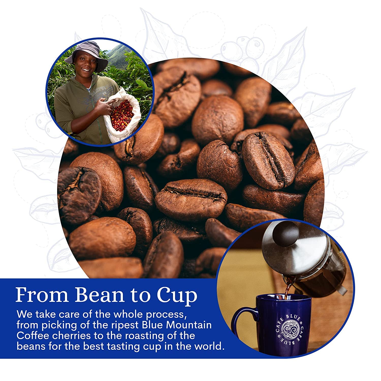 Cafe Blue Roasted Whole Beans 8oz CLOSE DATED DEC 2024 Pack of 5