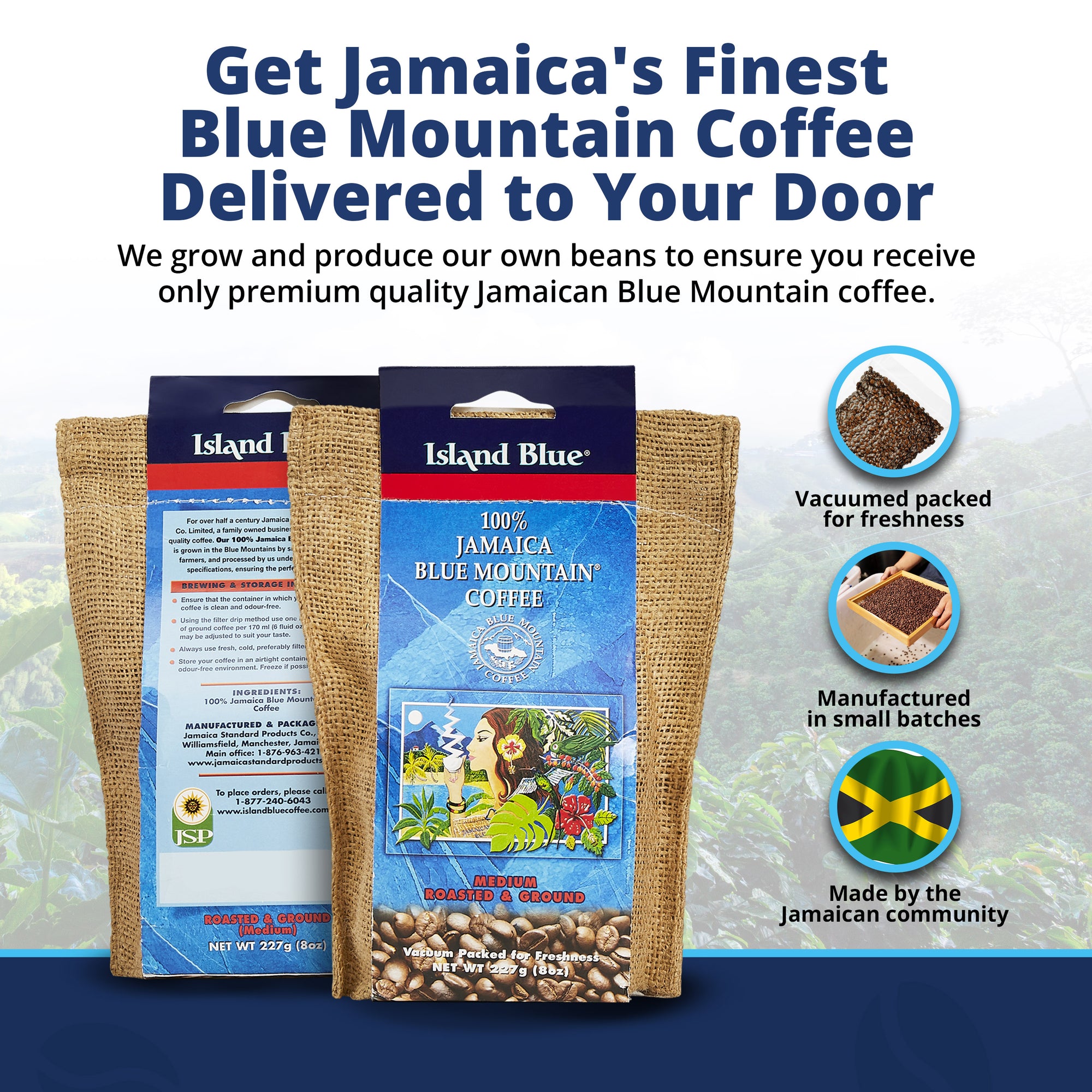 Island Blue -100% Jamaica Blue Mountain Coffee Grounds (2-16oz bags) (FREE SHIPPING)